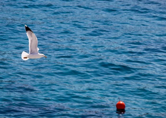 Appartamento Feelhvar Along Bluelagoon