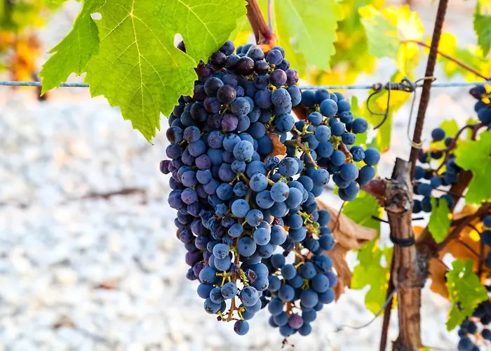 Feelhvar Along Bluelagoon Appartamento