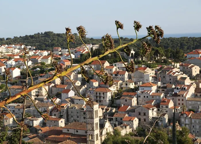 Feelhvar Along Bluelagoon