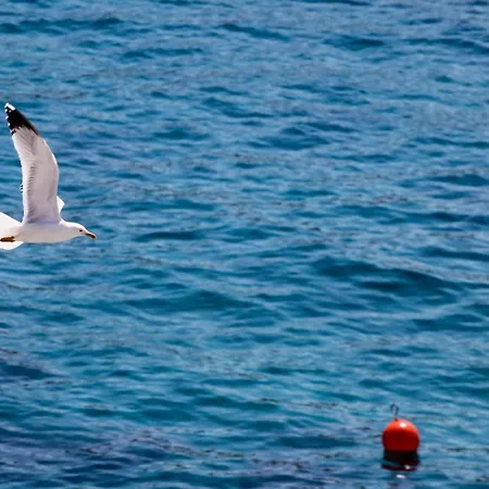 Διαμέρισμα Feelhvar Along Bluelagoon