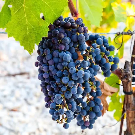 Feelhvar Along Bluelagoon Apartamento