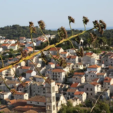 Feelhvar Along Bluelagoon