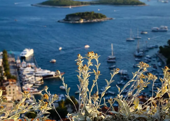 Feelhvar Along Bluelagoon